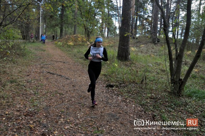 Сильнейшие лыжники соревновались в Кинешме в кроссе фото 57