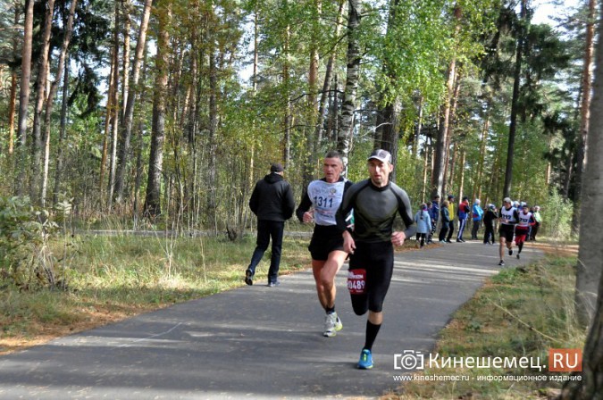 Сильнейшие лыжники соревновались в Кинешме в кроссе фото 45