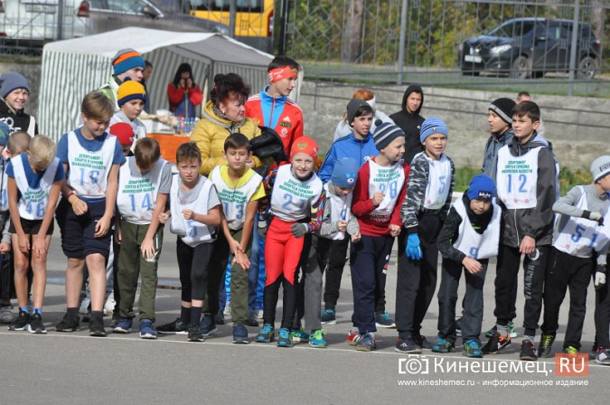 Сильнейшие лыжники соревновались в Кинешме в кроссе фото 23