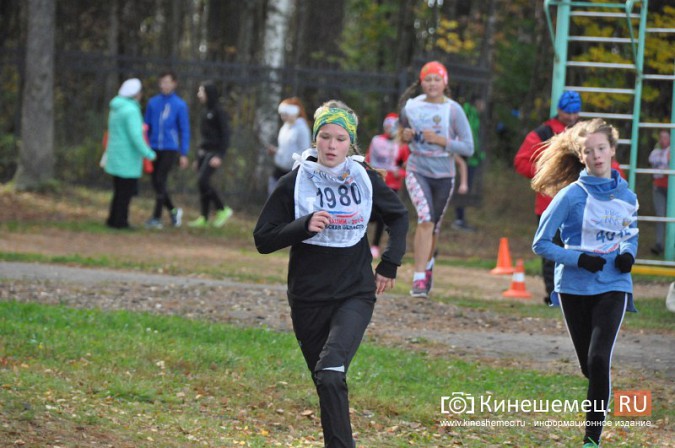 Сильнейшие лыжники соревновались в Кинешме в кроссе фото 21