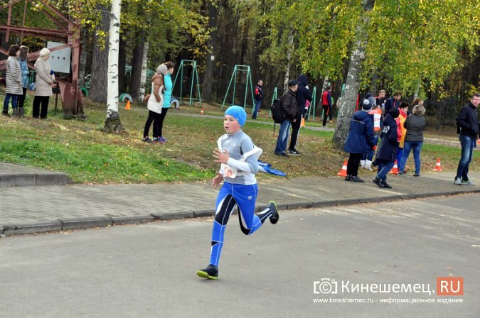 Сильнейшие лыжники соревновались в Кинешме в кроссе фото 31