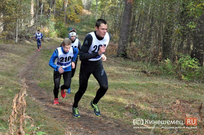 Сильнейшие лыжники соревновались в Кинешме в кроссе фото 53