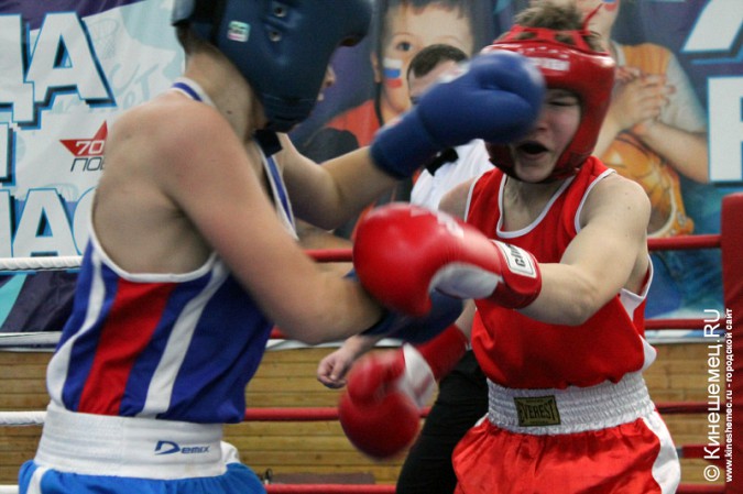 Спортшкола «Арена» научит мальчишек Кинешмы боксировать фото 2