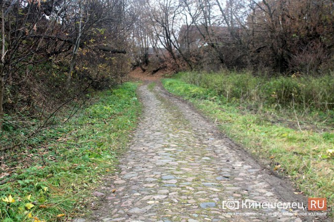 Жители улицы под Кинешмой страдают от страшного бездорожья фото 8