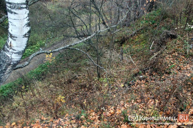 Жители улицы под Кинешмой страдают от страшного бездорожья фото 45