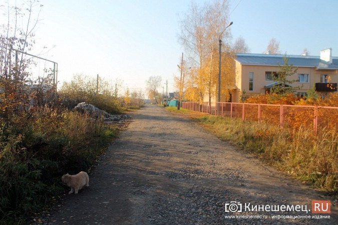 На улице Попова в «Сокольниках» появилась свалка строительного мусора фото 10