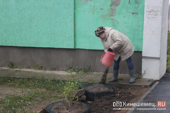 Некоторые кинешемцы забыли, что при благоустройстве дворов обязательно их участие фото 4