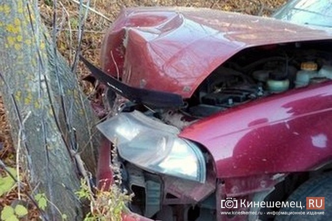 В Кинешме автомобиль врезался в дерево фото 2