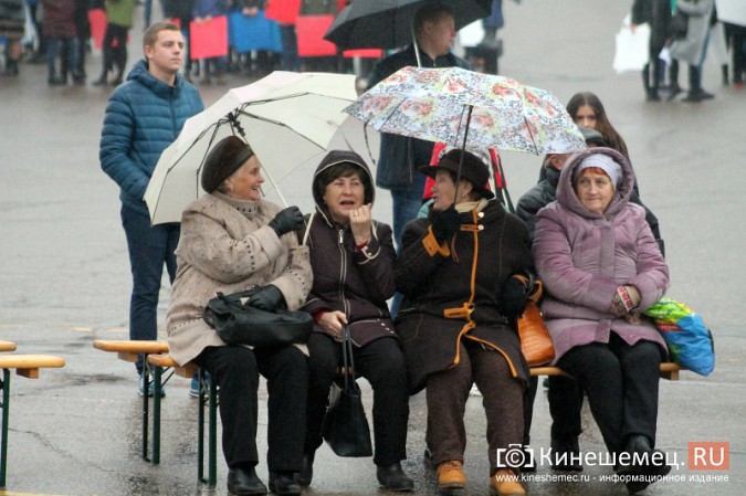 В Кинешме прошел митинг в честь Дня народного единства фото 74