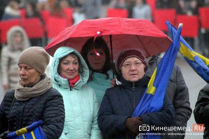 В Кинешме прошел митинг в честь Дня народного единства фото 72