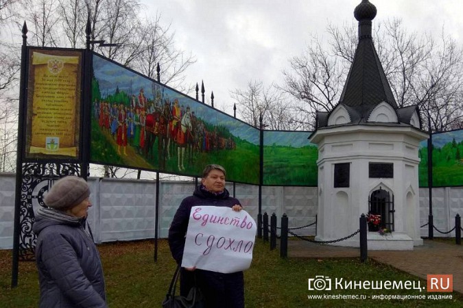 Кинешемка Ирина Апурина рассказала почему «Единство сдохло» фото 2