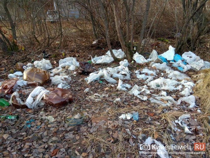 У кинешемской стоматологии выросла новая свалка фото 12