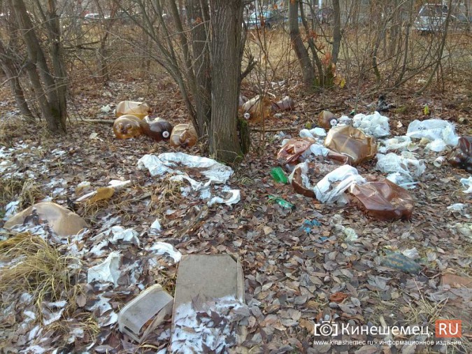 У кинешемской стоматологии выросла новая свалка фото 9