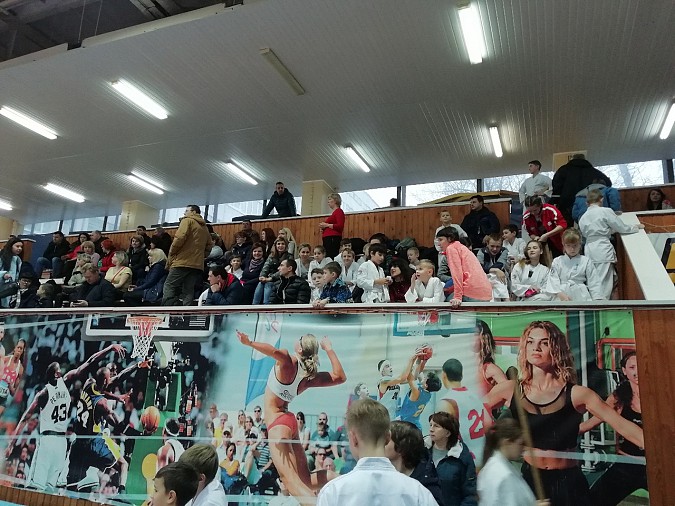 Кинешемские бойцы стали призерами чемпионата области фото 7