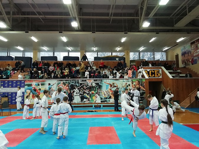 Кинешемские бойцы стали призерами чемпионата области фото 6