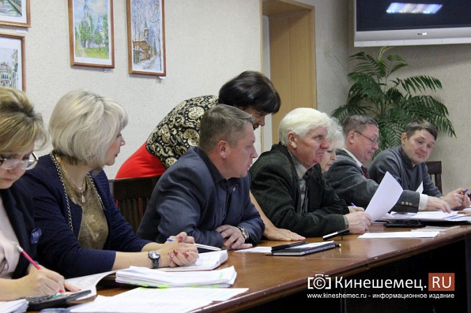 Вера Задворнова: «ФОК в качестве депутатов мы уже не увидим» фото 3