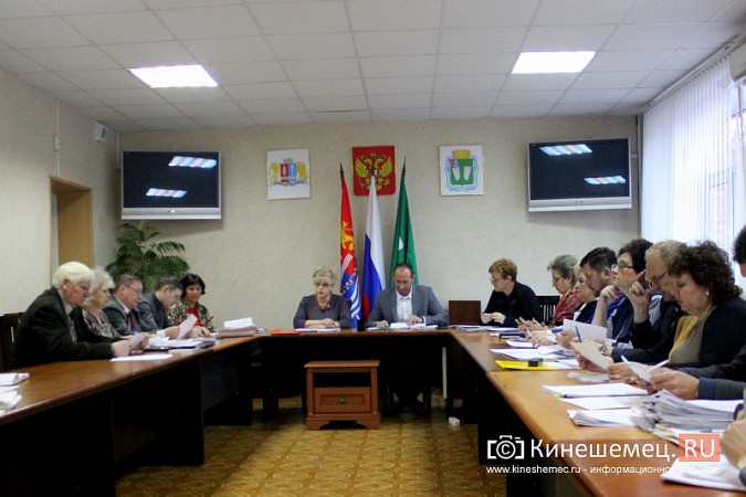 Вера Задворнова: «ФОК в качестве депутатов мы уже не увидим» фото 2