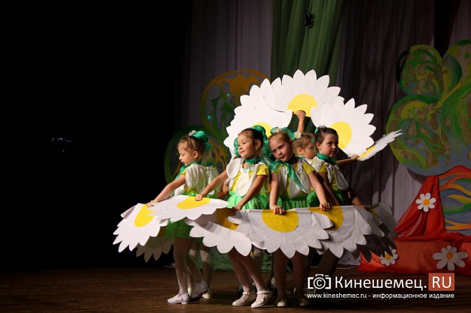 В Кинешме наградили за «Талант материнства» фото 10