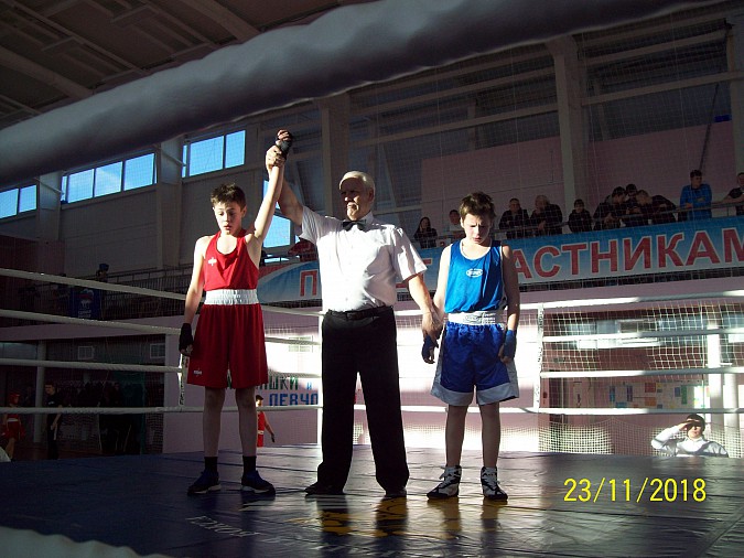 Кинешемские боксеры вернулись с золотыми медалями из Вязников фото 4
