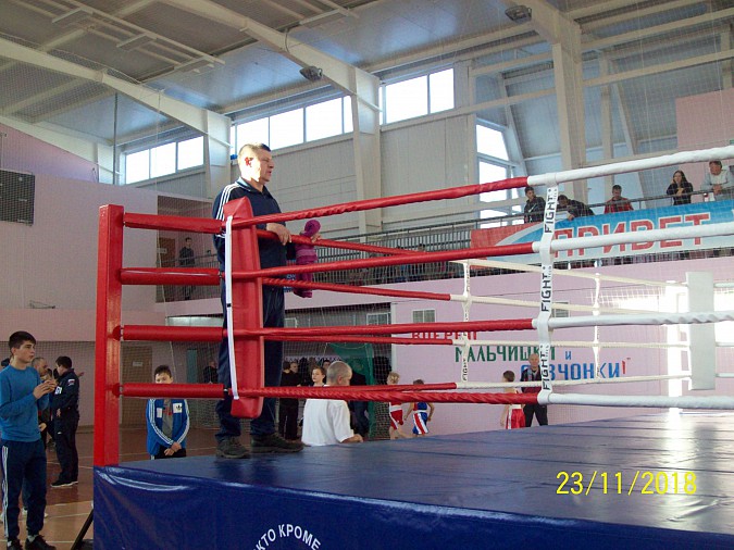 Кинешемские боксеры вернулись с золотыми медалями из Вязников фото 5