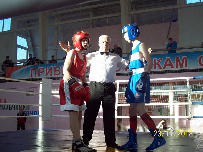 Кинешемские боксеры вернулись с золотыми медалями из Вязников фото 6