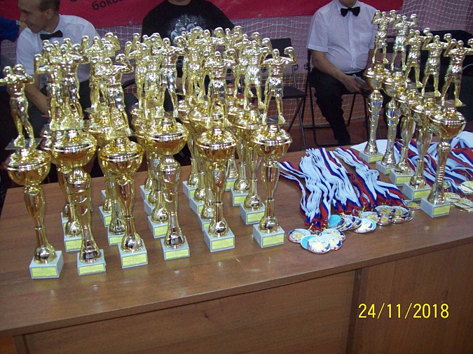 Кинешемские боксеры вернулись с золотыми медалями из Вязников фото 16