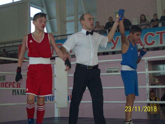 Кинешемские боксеры вернулись с золотыми медалями из Вязников фото 9