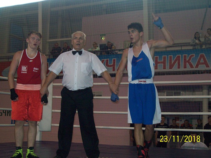 Кинешемские боксеры вернулись с золотыми медалями из Вязников фото 13