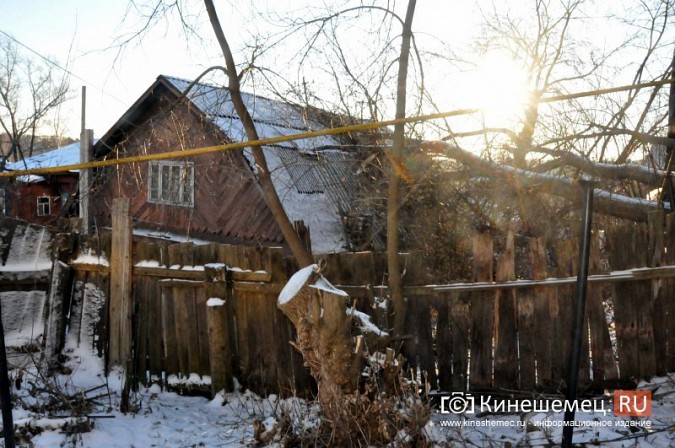 В Кинешме, несмотря на опасность, не спешат убрать упавшее на газопровод дерево фото 6