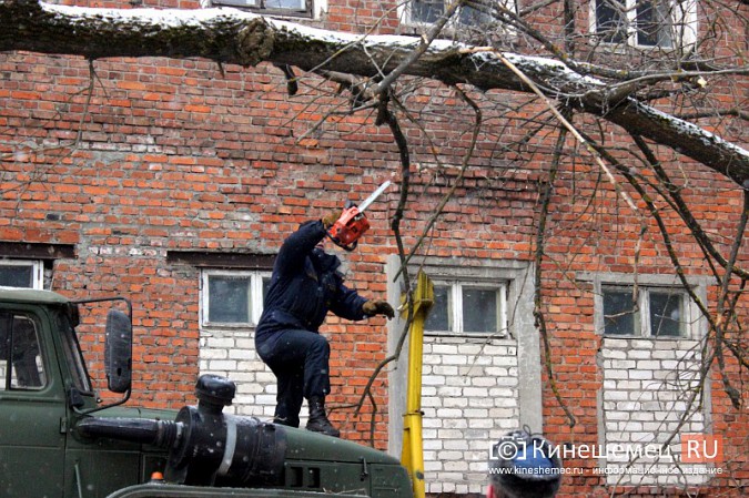 Кинешемские спасатели убрали упавшее на газопровод дерево фото 5