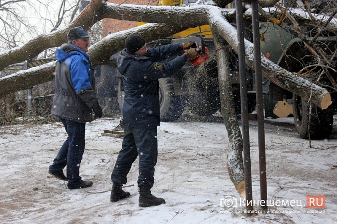 Кинешемские спасатели убрали упавшее на газопровод дерево фото 7