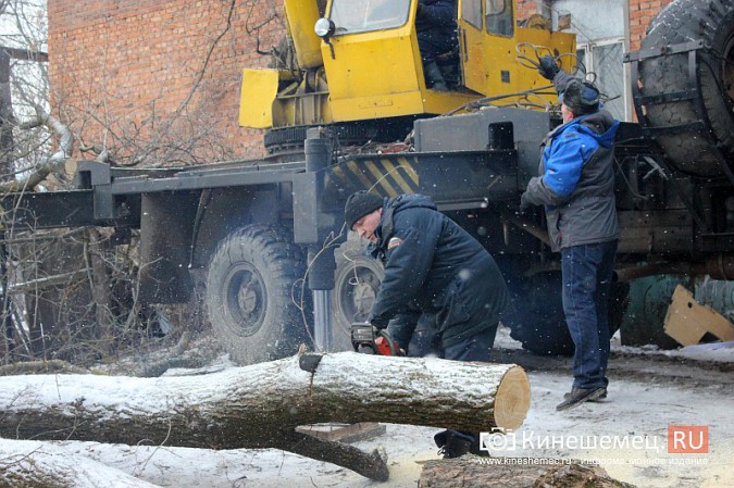 Кинешемские спасатели убрали упавшее на газопровод дерево фото 11