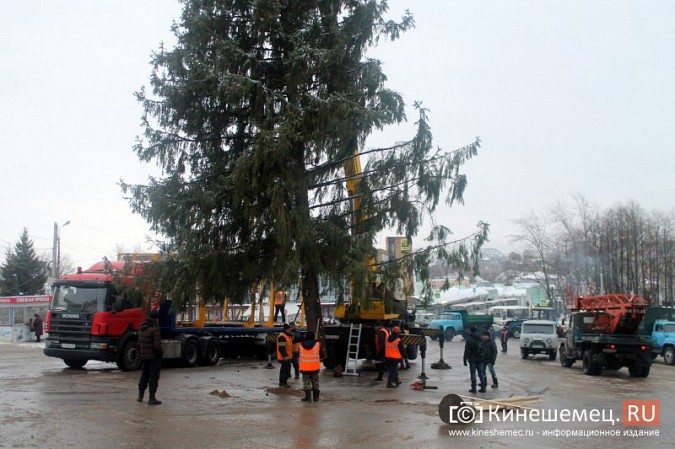 В центре Кинешмы установили 20-метровую новогоднюю елку фото 25