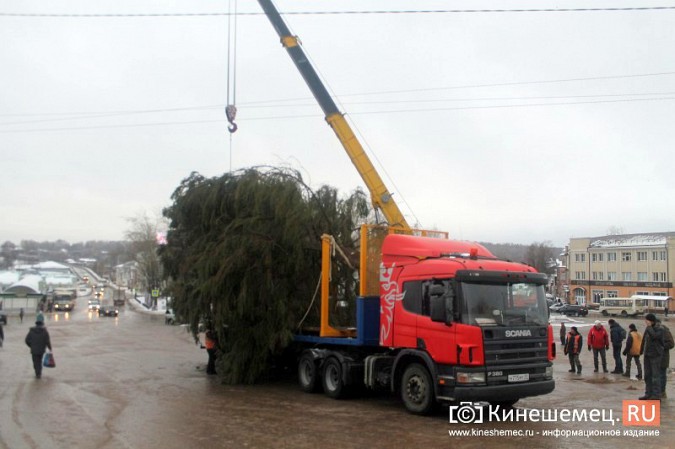 В центре Кинешмы установили 20-метровую новогоднюю елку фото 20