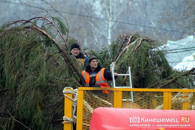 В центре Кинешмы установили 20-метровую новогоднюю елку фото 13