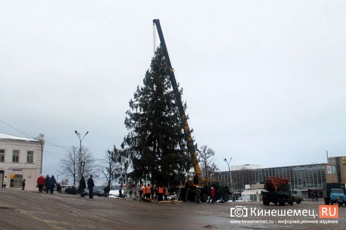 В центре Кинешмы установили 20-метровую новогоднюю елку фото 31