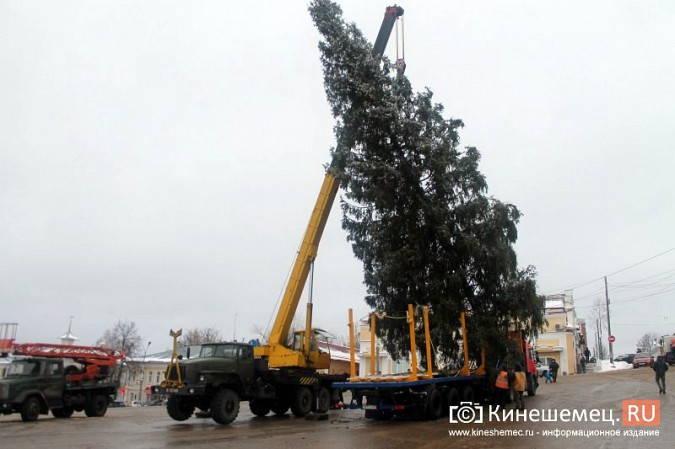 В центре Кинешмы установили 20-метровую новогоднюю елку фото 22