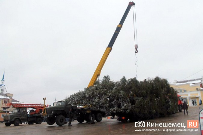 В центре Кинешмы установили 20-метровую новогоднюю елку фото 14