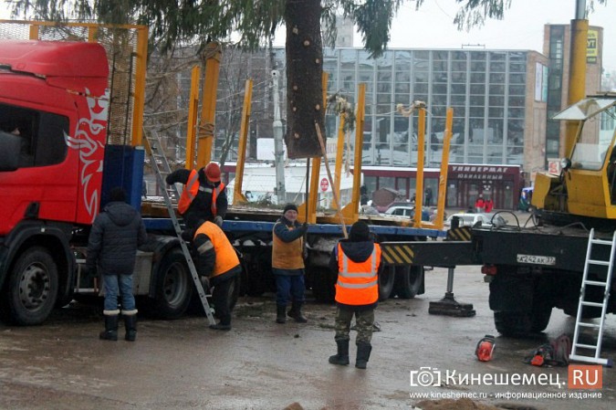 В центре Кинешмы установили 20-метровую новогоднюю елку фото 24