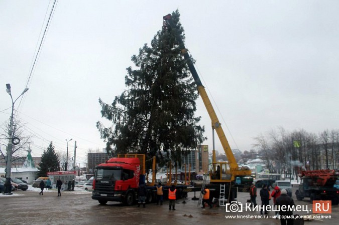 В центре Кинешмы установили 20-метровую новогоднюю елку фото 23
