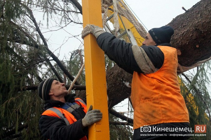 В центре Кинешмы установили 20-метровую новогоднюю елку фото 18