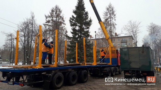 В Кинешме установили вторую по величине новогоднюю елку фото 2