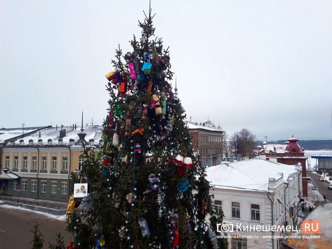 В центре Кинешмы украшают главную новогоднюю елку фото 8