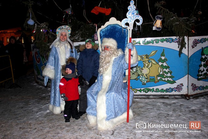 В Кинешме зажгли главную новогоднюю елку фото 18
