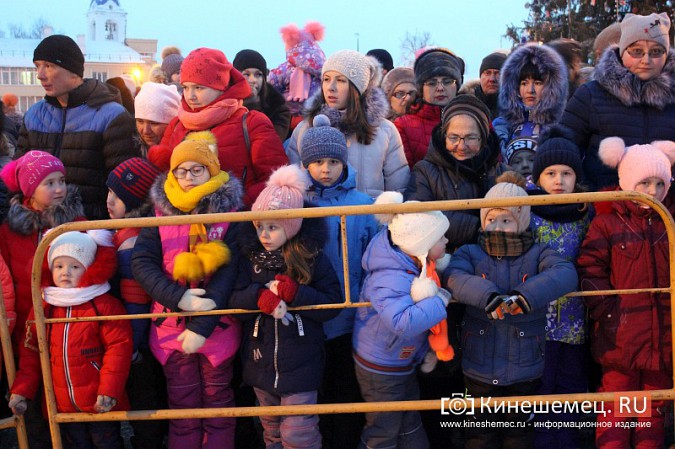 В Кинешме зажгли главную новогоднюю елку фото 3