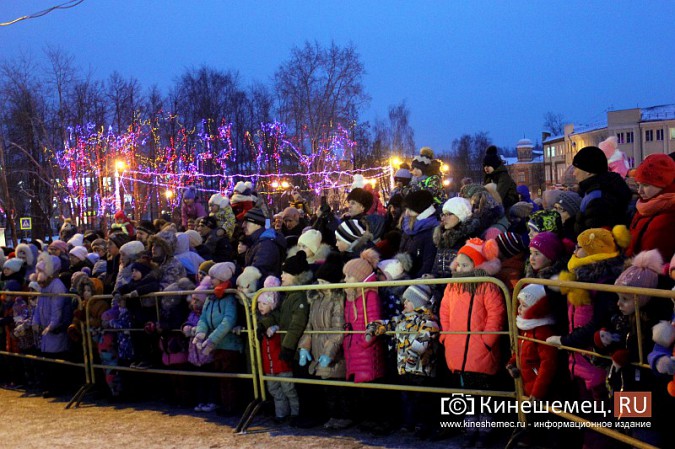 В Кинешме зажгли главную новогоднюю елку фото 11