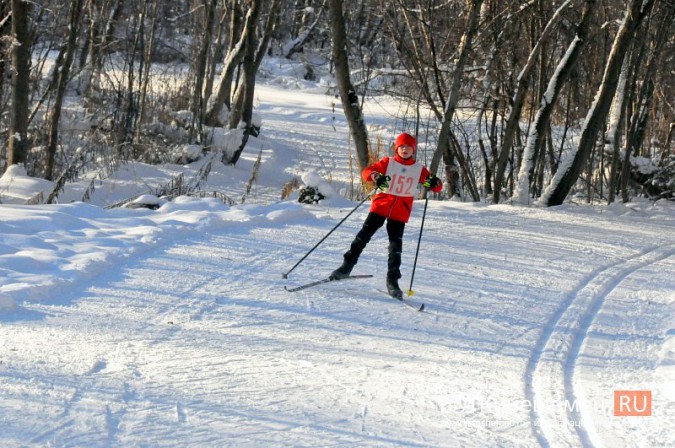 Школа №19 победила в командном первенстве Кинешмы по лыжным гонкам фото 35