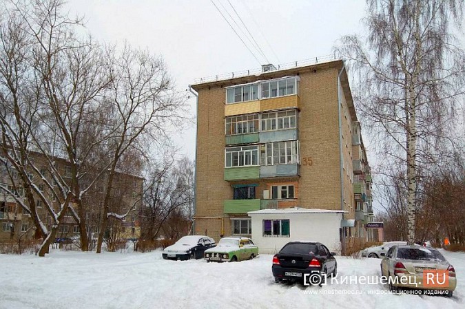 Клены рассорили предпринимателя и жителей пятиэтажки на «Чкаловском» фото 7