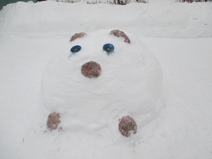 В Кинешме выбрали самый красивый зимний участок фото 2