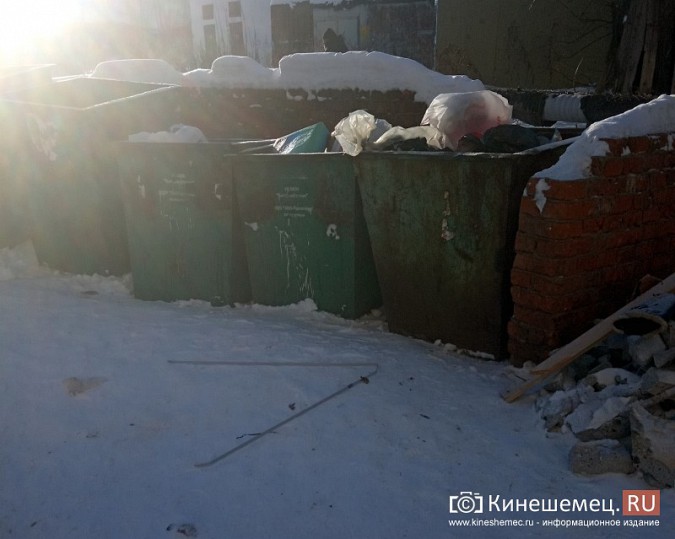 Кинешемский бомж Саша облюбовал помойку у девятиэтажки фото 6